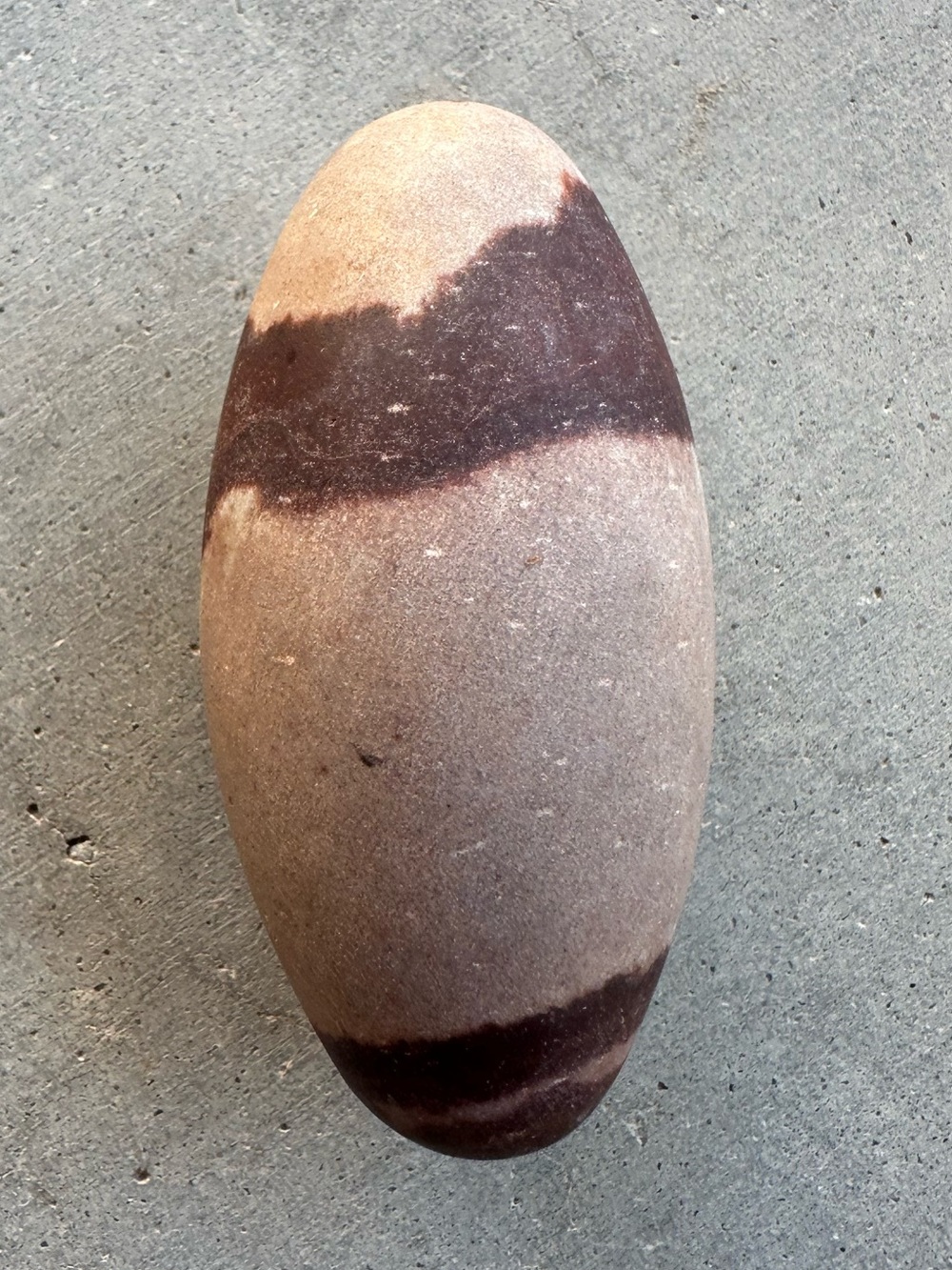 Natural Shiva Lingam Stone Crystal Specimen